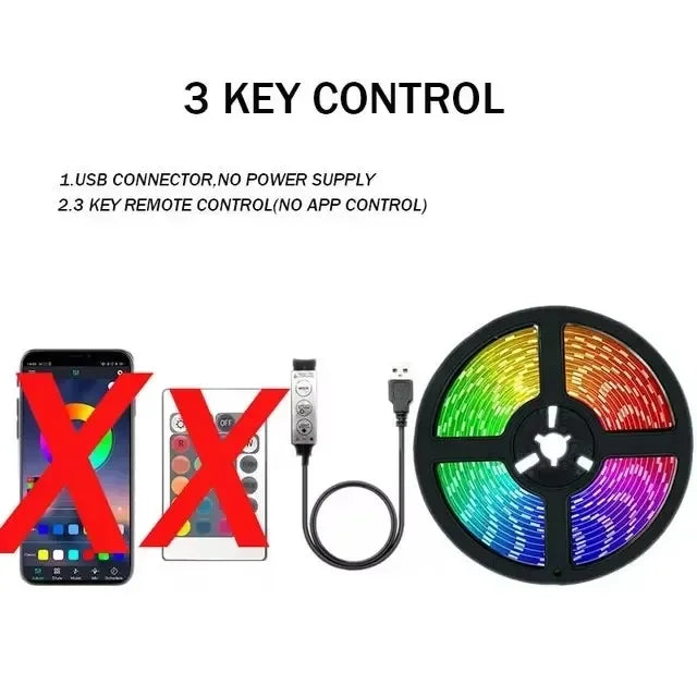 Rgb Usb Led Strips Light 5Volt 1-30M Festoon Led Light Bluetooth Remote Control Led Light Bedroom Room Ice Ribbon String Tape